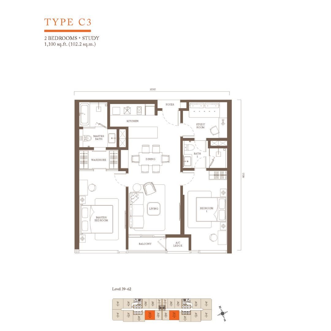 Type C3